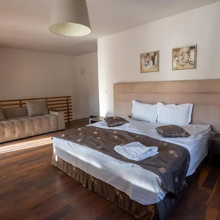 Strawberry Guest House1 Πανσιόν Yagodovo (Montana)